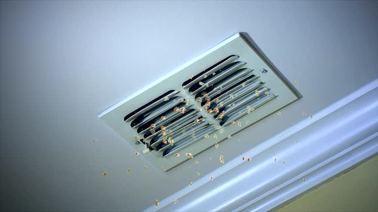 Best Duct Cleaning Specialists  in Canyonville, OR